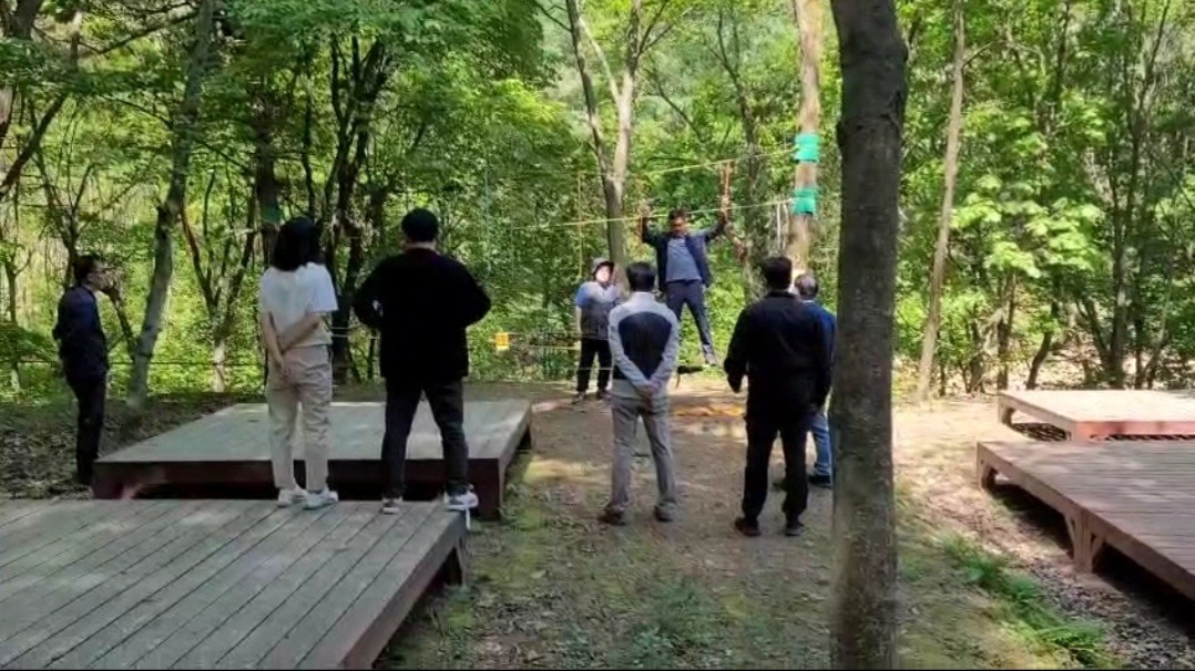 오행비채 항우울정동신체활동