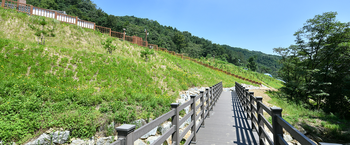 잔디마당 전경3